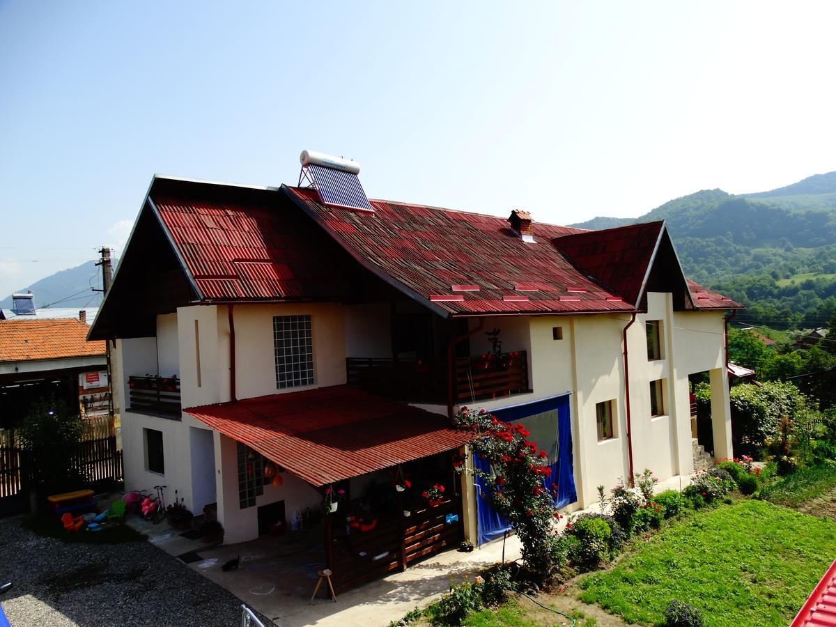 Pensiunea Casa Elena Corbeni Exterior photo